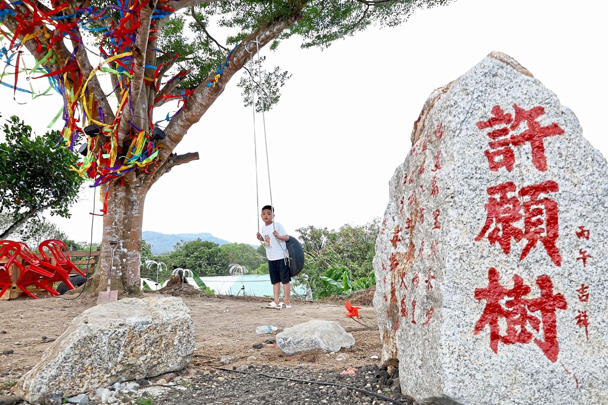 A wishing tree at the newly-cleared stretch of Jalan Loke Yew.