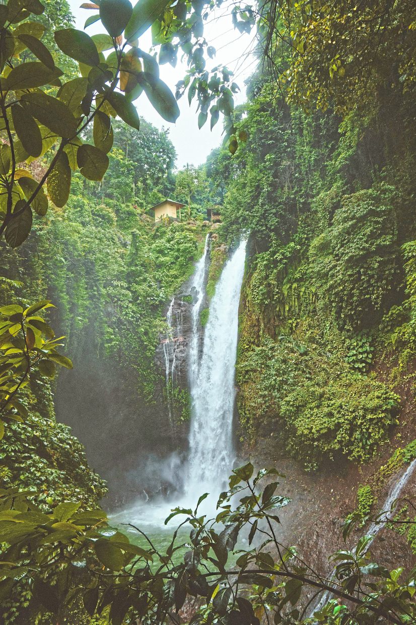 Bali is also famed for its scenic waterfalls. — Pexels