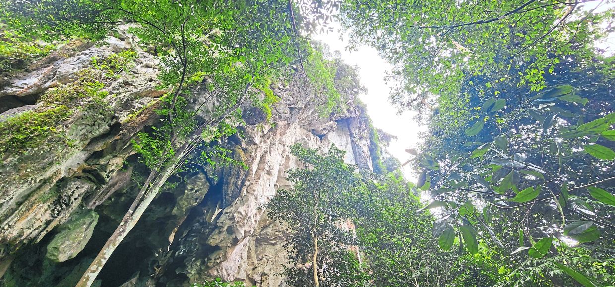 The cave is called Gua Gajah because Asian elephants used to seek shelter there.