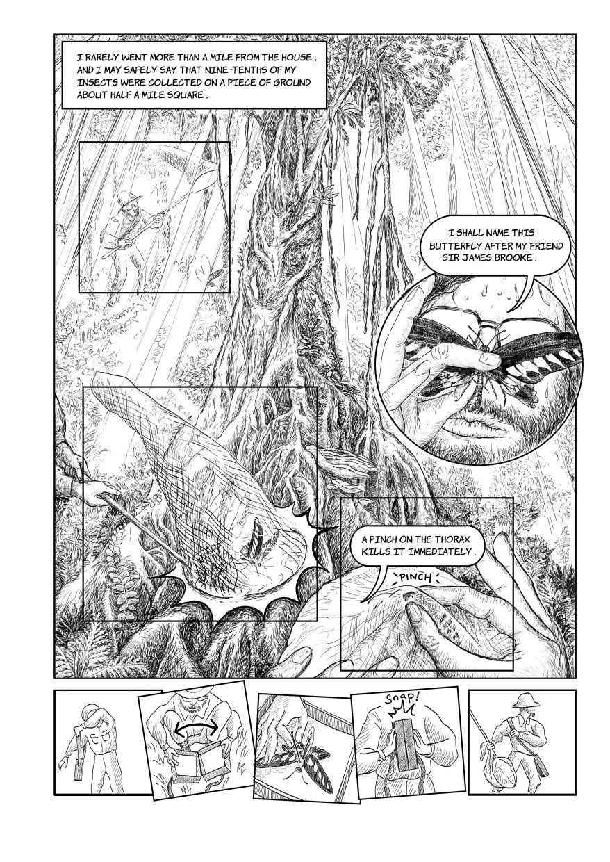 'Different from fine art, the language of comics uses a common visual language that everyone innately understands,' says Chang. Photo: Chang Yoong Chia