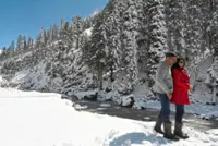 Kashmir tourism shows resilience and confidence