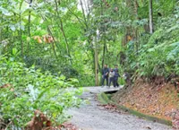 ‘Set clear timelines for regazetting Bukit Dinding land’