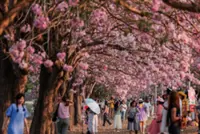 Asean News Headlines at 10pm on Monday (Feb 23, 2024)