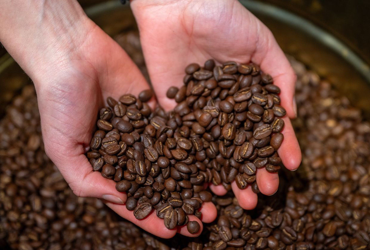 Coffee set to cost more and taste worse due to climate change