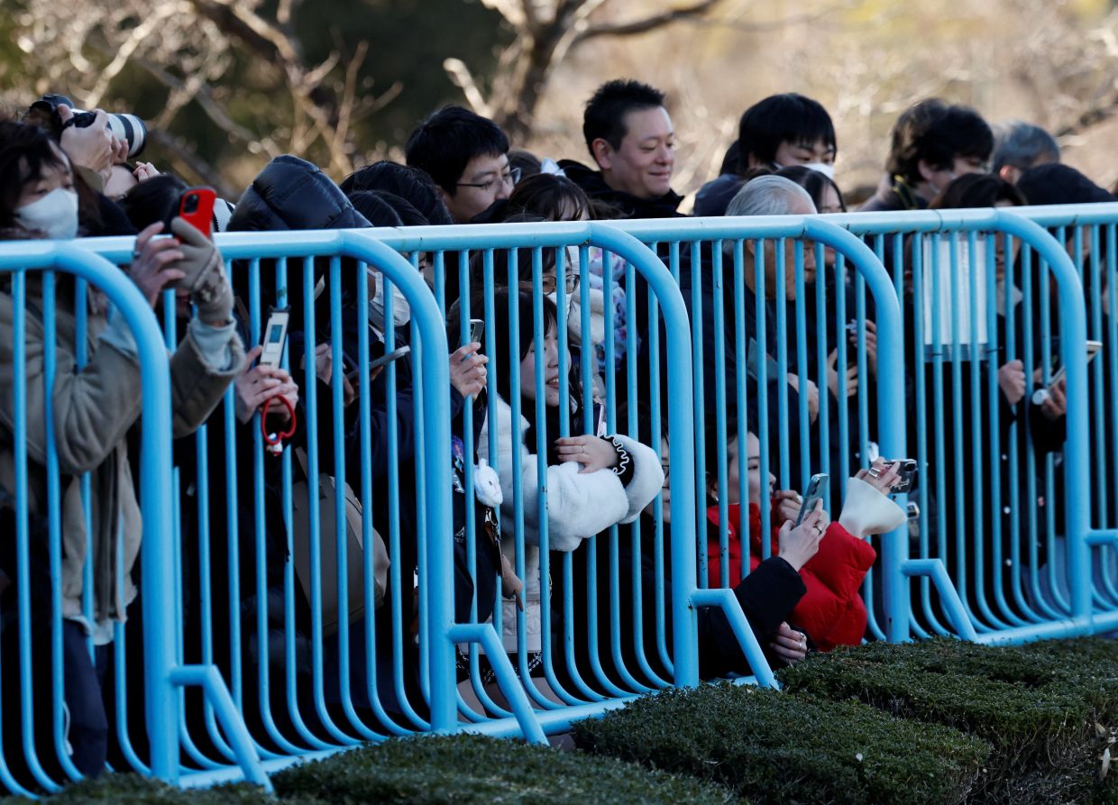 Visitors watch a baby Japanese macaque named Punch at Ichikawa City Zoo. Photo: Reuters