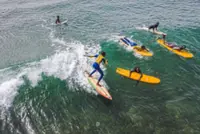 Catching waves, chasing dreams