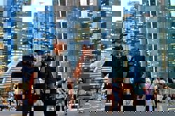 More rape, molestation cases contribute to rise in Singapore's physical crime in 2025; shop theft incidents fall