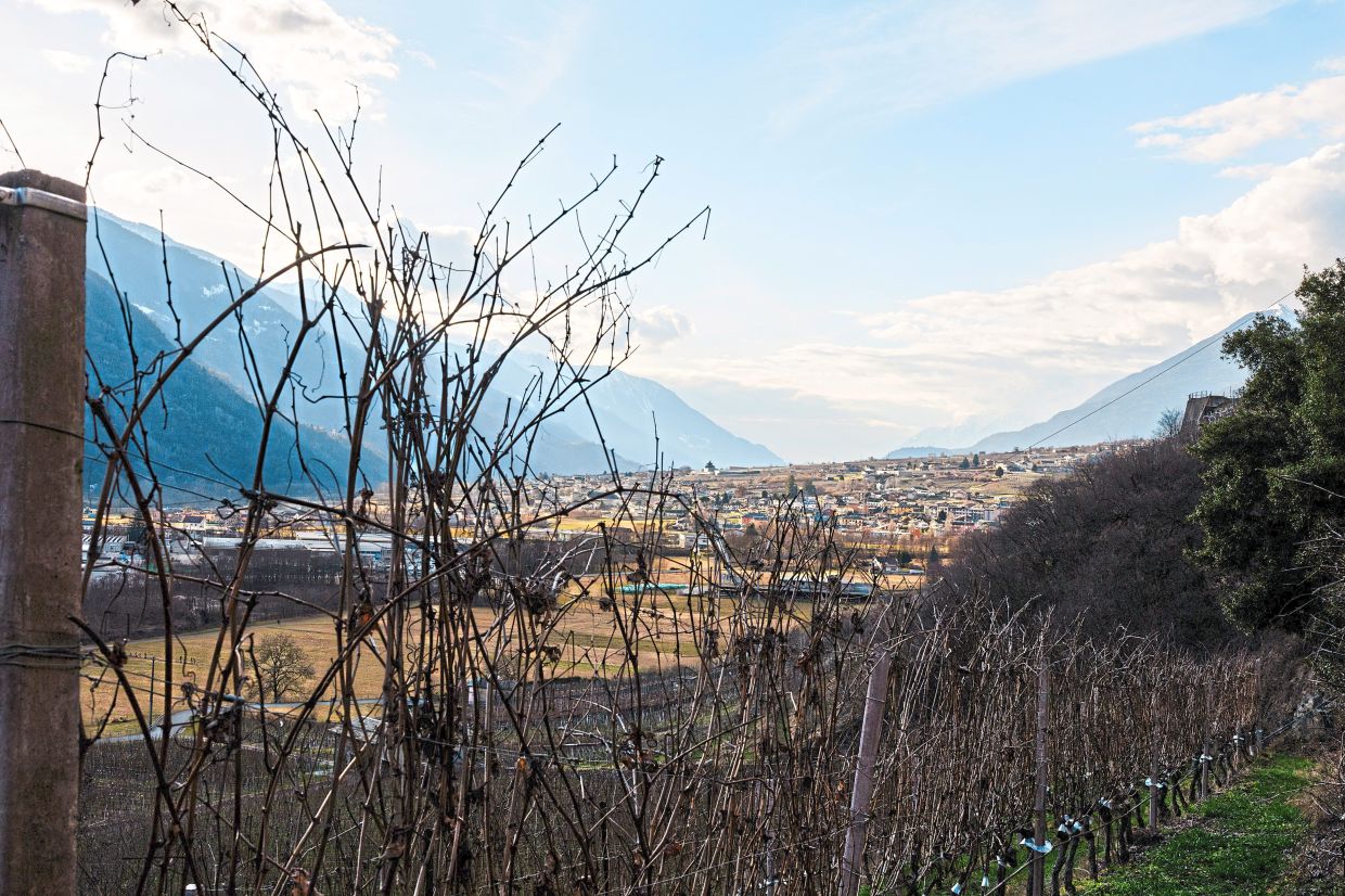 Chef Negrini hopes to put a spotlight on the Valtellina valley, the birthplace of pizzoccheri, a hearty buckwheat pasta that graced restaurant menus and the Olympic athletes’ cafeterias during the Milan-C ortina Winter Oympics. — Photos: GABRIELA BHASKAR/ The New York Times