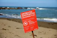 New Zealand mayor swims to allay sewage contamination fears