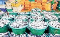 Myanmar exports over 370,000 tonnes of fishery products in 10 months