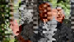 Thailand election body confirms win by PM's party