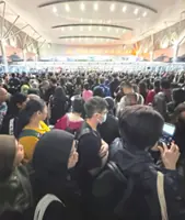 Delays as autogates go offline again