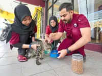 ‘Geng Plastik Hitam’ on a mission to feed stray cats