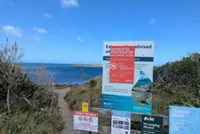 How a ‘poo-nami’ turned Wellington summer beach dreams into a stinky nightmare