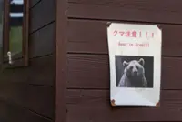 Over 2,000 brown bears captured in Japan's Hokkaido since April 2025