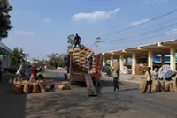 India braces itself for unusually hot March, putting wheat, rapeseed crops at risk, say sources