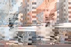 Dog Talk: Thinking of adopting a dog? Here's how to find your paw-fect match