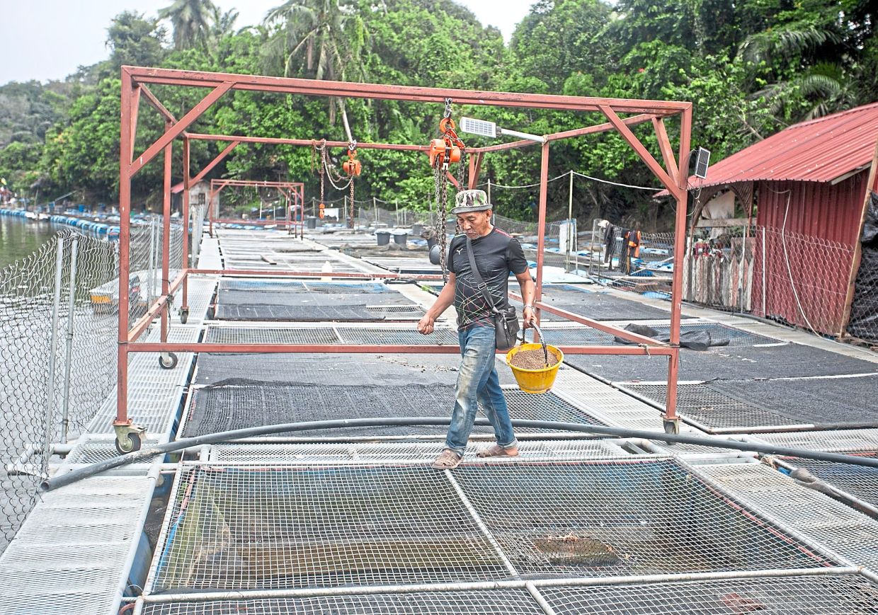 Fish farmer Mohd Nasir Imam Ibrahim doing maintenance work on the cages.