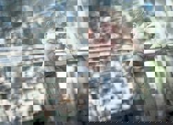 Is it a headache or a migraine? 