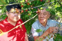 A lesson in planting coffee and raising funds for schools