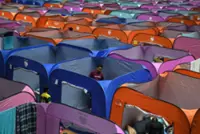 Flood evacuees in Tenom on the rise