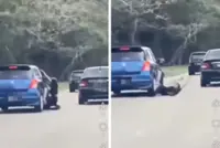 QuickCheck: Did a robber cling to his female victim's car bonnet in a viral video?