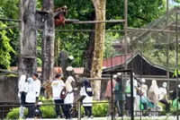 Ticket prices for Taiping Zoo to increase from March 15