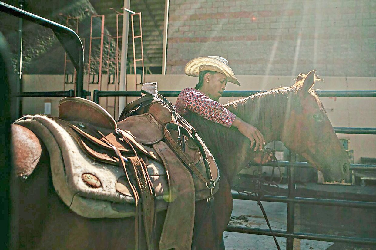 Sorry! Image not available at this time