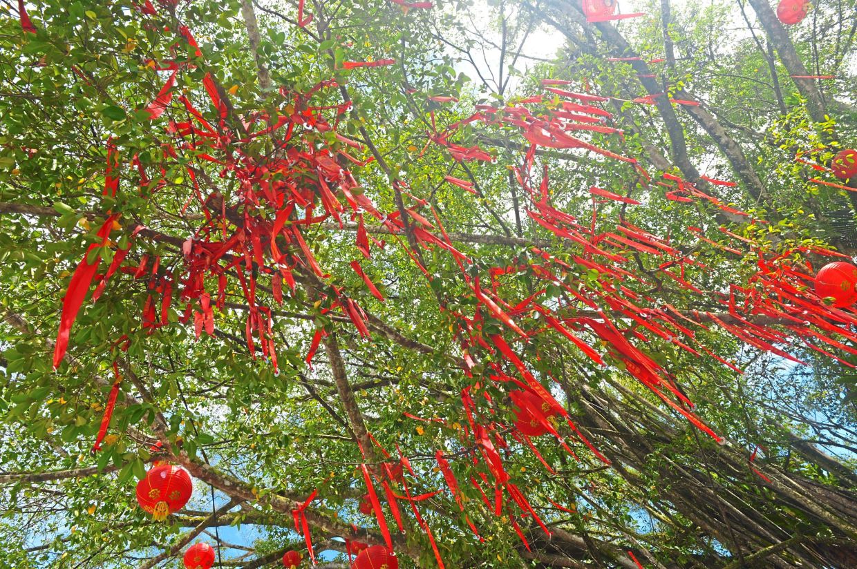 Sunlight filters through layers of red ribbons, turning the wishing grove into a vibrant sea of colour.