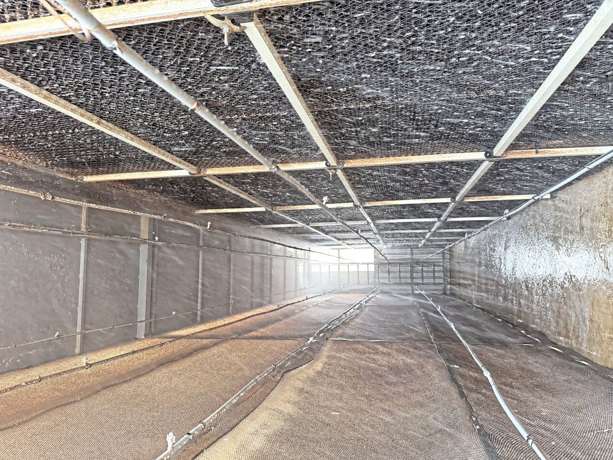 Odour-control at QL Poultry Farms involves a system with mist and deodoriser.