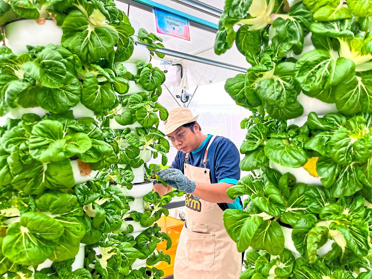 Fresh look for Johor library farm