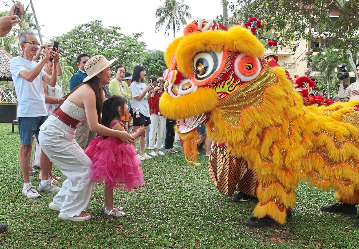 Li Liangyu, 34, (wearing hat) and daughter Han Yun Xi, three, interacting with a ‘lion’ during a Chinese New Year event in Batu Ferringhi, Penang.