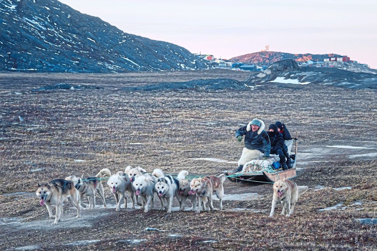 Kristensen and his family riding with the sled dogs across earth and stones. 