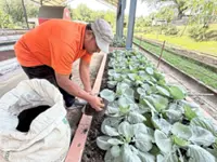 ‘High value in poultry and cattle waste’