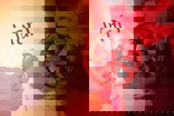 Market positioning may limit fallout on Malaysia from Middle East conflict - economist