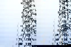 Nvidia forms alliance to make sure 6G networks embrace AI