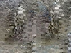 10,000-year-old mummies discovered in Asia, older than previously