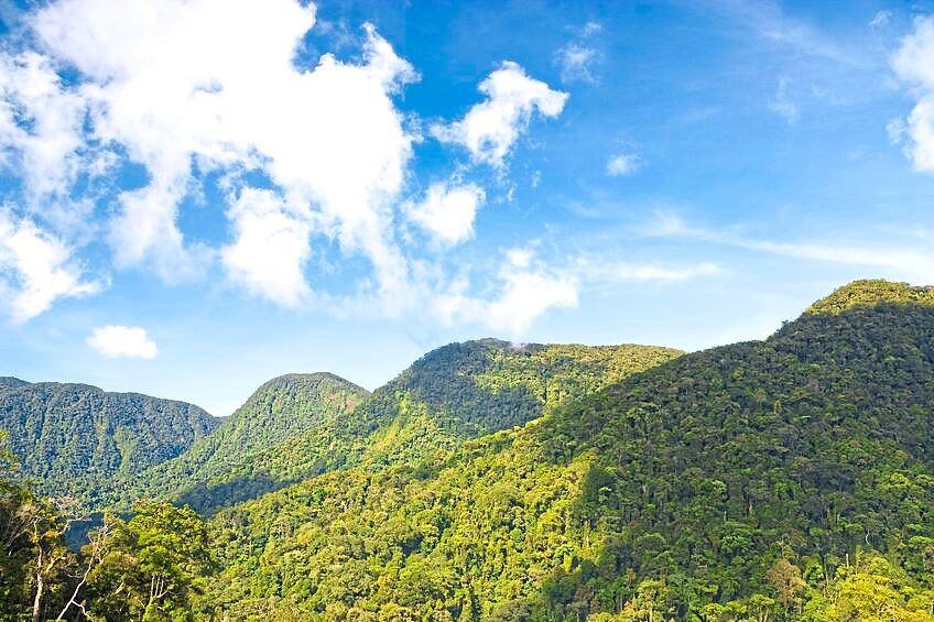 Sorry! Image not available at this time