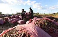 Vietnam aims to promote derivatives with new law