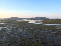 The meadows Malaysians rarely see