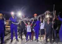 Five-metre-long python captured in Sandakan