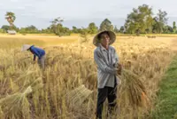 Laos seeks to strengthen sustainable food systems