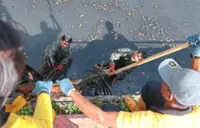 Striving to keep city clean