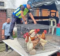 MPAJ steps it up against illegal businesses