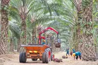 If I were lah, bah and syllables that steady plantations and M’sia