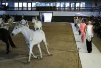 Stella McCartney’s horseplay turns Paris runway into ethical fashion arena