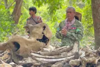 Cambodian communities commemorate elephants killed by Thai shelling during forest anniversary