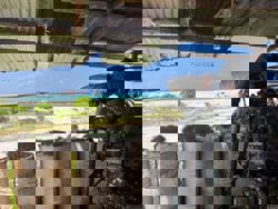 Philippines apprehends Filipino nationals suspected of spying for China