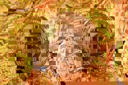 Analysis-Crypto bill hits new impasse, raising doubts over its future