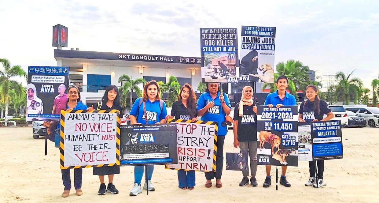 ExecuteAWA aims to turn public frustration into coordinated action that drives policy reform, accountability and humane solutions for the country’s stray animal crisis. Photo: ExecuteAWA